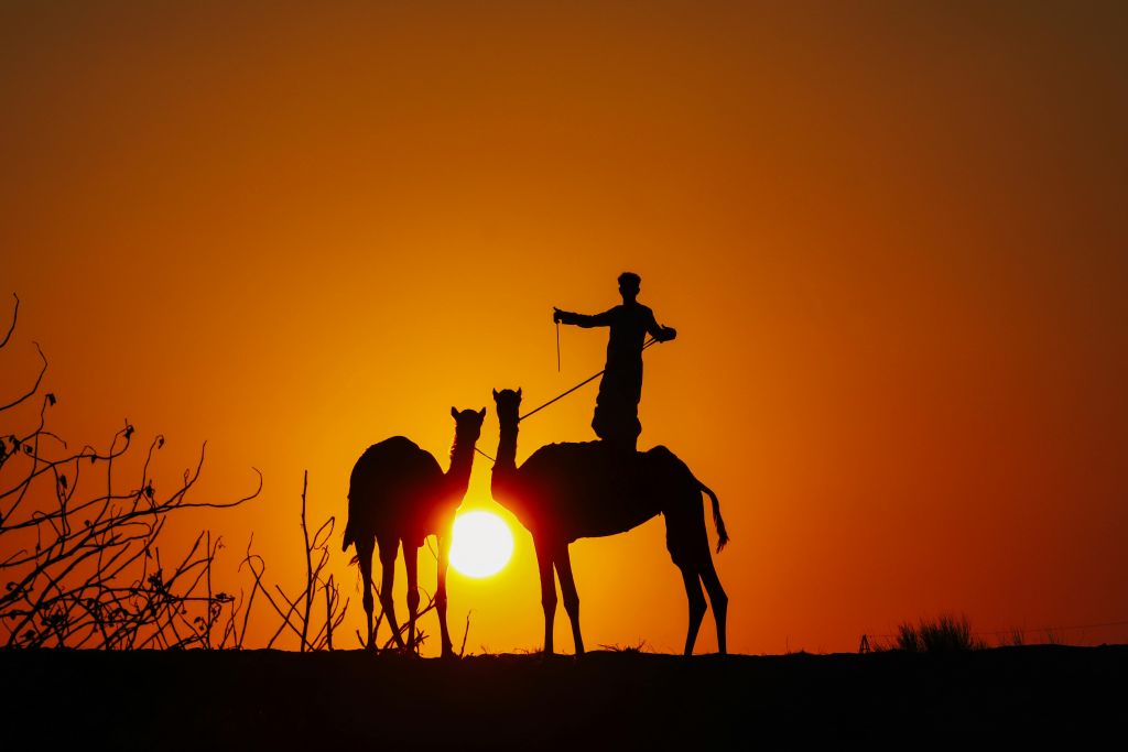 A man on camel in Dubai desert